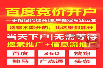 百度推广实战：案例分享与效果评估